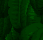 Added to favorites @ 12/21/2006 5:26:02 PM