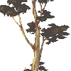 Blue Gum icon/pixelart