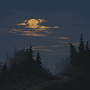 Added to favorites @ 7/24/2023 16:50