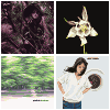 Added to favorites @ 6/19/2025 13:28