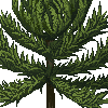 tree animation2 icon/pixelart