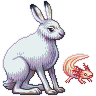Animal Atlas: Mountain Hare & Axolotl