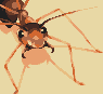 Ant! icon/pixelart