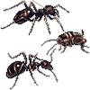 alinomama icon/pixelart