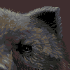 desaturated Bear icon/pixelart