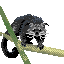 binturong icon/pixelart