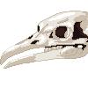 Bird Skull icon/pixelart