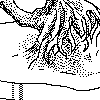bonsai icon/pixelart