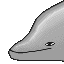 Bottlenose Dolphin icon/pixelart