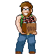 Pokemon Trainer Box icon/pixelart
