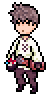 Bravely default icon/pixelart
