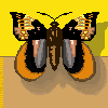 Butterfly icon/pixelart