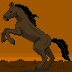 Added to favorites @ 12/29/2021 14:54