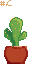 Cactus icon/pixelart