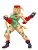 Cammy icon/pixelart