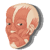 Got covering? icon/pixelart