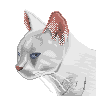Added to favorites @ 1/9/2014 13:56