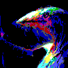 user
