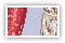 Clemente, 2006 icon/pixelart