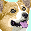 Corgi icon/pixelart