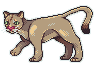 Cougar