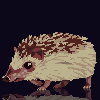 Hedgey icon/pixelart