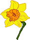 Daffodil Icon icon/pixelart