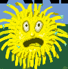 Panicked Dandelion