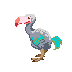 Dodo