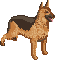 Another Dog icon/pixelart