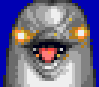 Dolphinguy