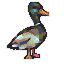 mallard icon/pixelart