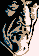 Dude icon/pixelart