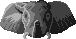Tribal Elephant