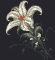 Added to favorites @ 6/15/2009 14:51