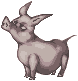 Pigi