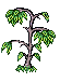 Tree icon/pixelart