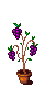 Grape Plant! icon/pixelart