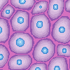 cells icon/pixelart