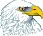 Hawk icon/pixelart
