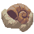 Helix Fossil icon/pixelart