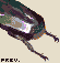 Hercules icon/pixelart