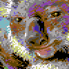 Koala koala icon/pixelart