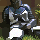 Added to favorites @ 4/21/2024 08:38