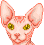 Sphynx Cat icon/pixelart