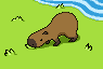 Hydrochoerus icon/pixelart