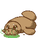 Little Manatee