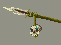 MaskerMan icon/pixelart