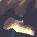 Alexandra icon/pixelart
