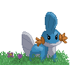 Mudkip icon/pixelart